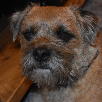 North_Star_Chaz's profile picture. 