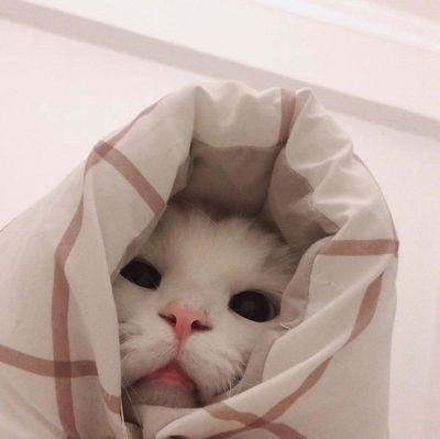 xxserajxx's profile picture. مليونيره