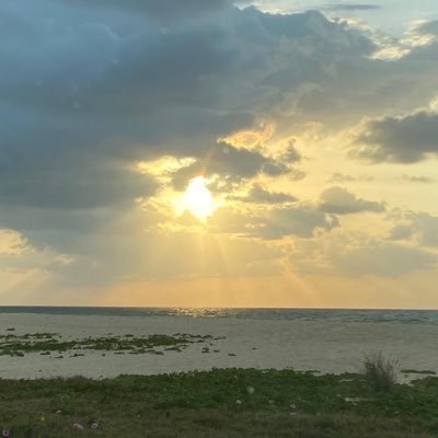 ktheri300's profile picture. 