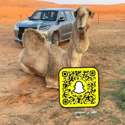 الحمدلله أولاً وأخيراً، اصدق مع ربُك ولاتتبع هوا نفسك وكُن صادقا دائما…﴿ وَقُل جاءَ #الحَقُّ وَزَهَقَ #الباطِلُ إِنَّ الباطِلَ كانَ #زَهوقًا﴾ 🤍 #هامة_مُضر 🤍