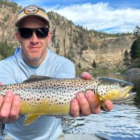 KyleHorton/F3Benign👊🏼 (@kylehorton1977) 's Twitter Profile