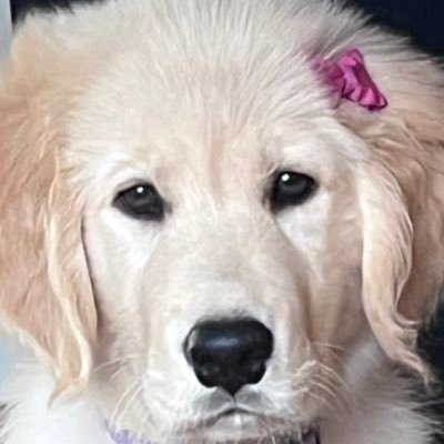 marload702's profile picture. swe, devops