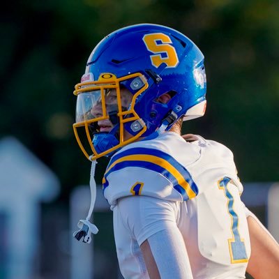 Springfield High School || 2025 || Football/Basketball || 3.5 GPA || 6’3 || 190 || WR/S ||#1|| All League+All County Safety||Captain||#-267-490-0071