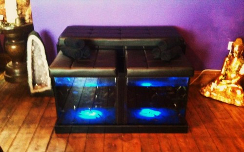 Shoal2Sole's profile picture. The latest fin-omenon to hit Digbeth are our tiny fish doctors who will eat away your dead hard skin and leave you feeling rejuvenated.