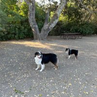 Peter (@petercblack) 's Twitter Profile Photo Peter (@petercblack) 's Twitter Profile Photo