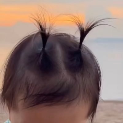 TOMTOM110's profile picture. 🥢