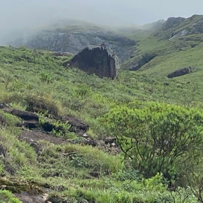 manishsiso's profile picture. 