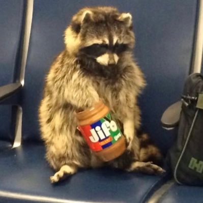 evan_weidl's profile picture. uiowa ‘24 | opinions editor @thedailyiowan | @twocanesband