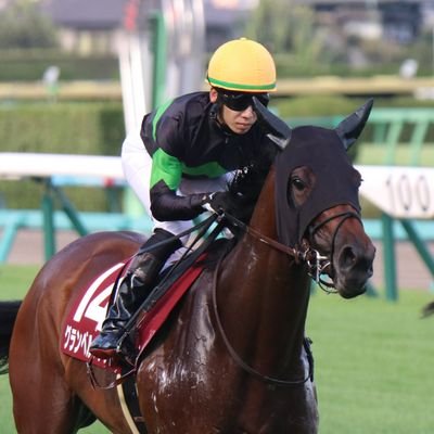 男性、60歳+α。元エンジニアで現在はプー太郎。副業で投資家。マイブームは競馬とプラモデル。馬券は自作プログラムで自動購入。一口馬主歴10年。グリーンＦをメインに、YGG  とDMMにも出資。ドライスタウトが初のG1を制覇。地方馬主資格も取得し、ハッピーOCにてスペリオルパンサーを共有中。