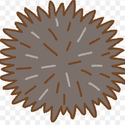 DvnziR's profile picture. 