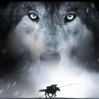 الذيب في الجليب (@dss_565) 's Twitter Profile Photo الذيب في الجليب (@dss_565) 's Twitter Profile Photo