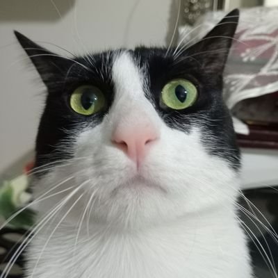 date0fwrite's profile picture. Murathan Sarı