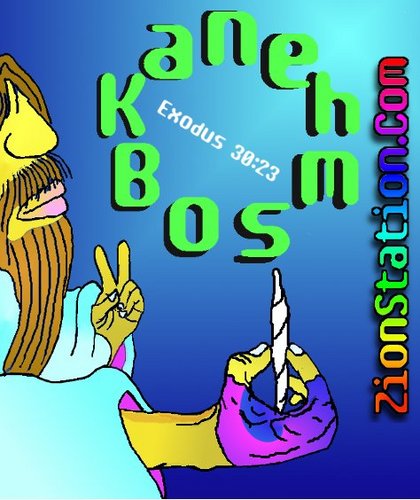 Entheo_Reformat's profile picture. The Entheogenic Reformation Church was chartered in '00, in Seffner Florida. It was later in 2008 incorprted as a nonprofit n the 'in God we Trust' state of FL.