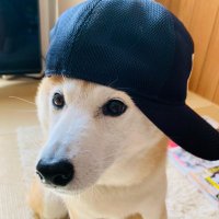ベースボール・マガジン社【出版/雑誌野球担当】 (@baseball_bbm) 's Twitter Profile Photo ベースボール・マガジン社【出版/雑誌野球担当】 (@baseball_bbm) 's Twitter Profile Photo