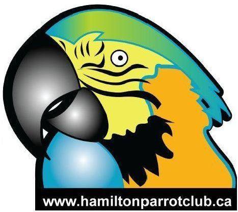 The Hamilton Parrot Club provides monthly meetings to assist in socializing pet parrots and to educate their owners in the enrichment of parrots in captivity.