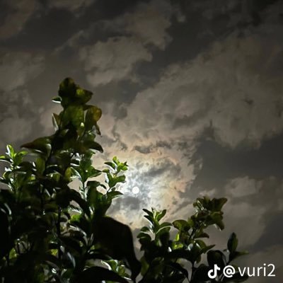 Esii811's profile picture. 