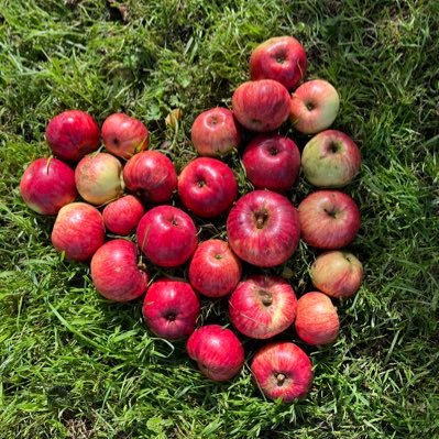 We bought a farm house, outbuildings & orchards. The dream is to bring it back to life, build a business & become self-sufficient. Let the adventure begin!
