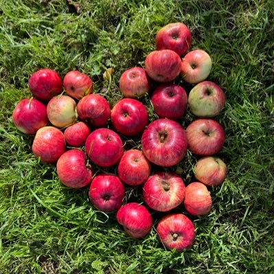 We bought a farm house, outbuildings & orchards. The dream is to bring it back to life, build a business & become self-sufficient. Let the adventure begin!