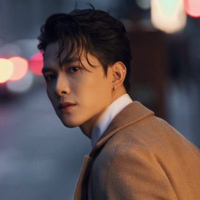 Vietnamese Actor/Singer