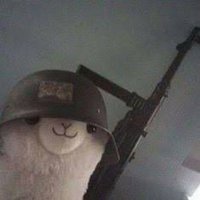 Fredin (@frd_fps) 's Twitter Profile
