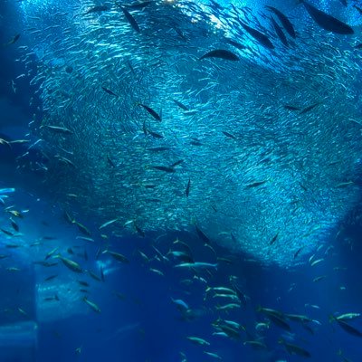 wn_zhr's profile picture. 