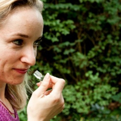 Scentifolia's profile picture. follow me @camlubbers