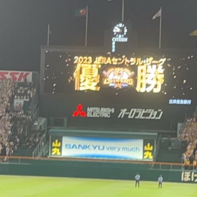 阪神タイガースファン、今年は行った甲子園全勝！