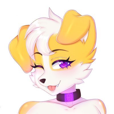 ButterCollie 🐾さんのプロフィール画像