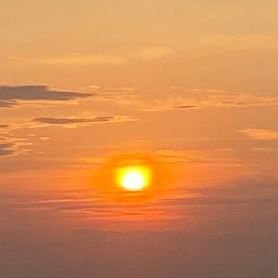 MaximeNetvibes's profile picture. 