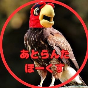NBAファン歴10年目 アトランタホークスファン シューターをこよなく愛するバスケバカ Bリーグは群馬クレインサンダーズ #NBA #TrueToAtlanta