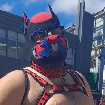 NSFW account 🔞, I’m 22 year old gay pup who loves cute pups and furries arf! , 💝@pupgrizzorc 💝 furry account: @PandaAjax1