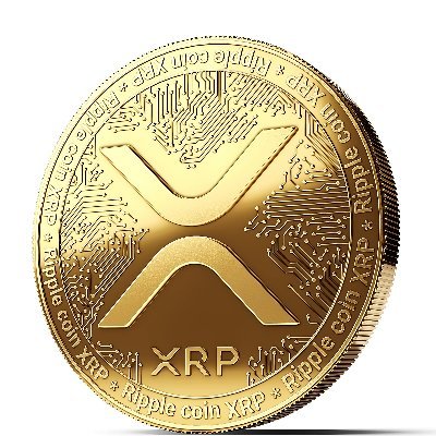 JonesMo84208909's profile picture. top