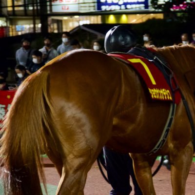 小学生の時に見た'13有馬記念のオルフェーヴルが忘れられない大学生。 DMMと広尾で🐎'21〜(0,1,1,1,0,0) 出資馬 #ベルファスト #リヤンイヴェール