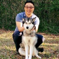 Wang lee (@wanglee08854563) 's Twitter Profile