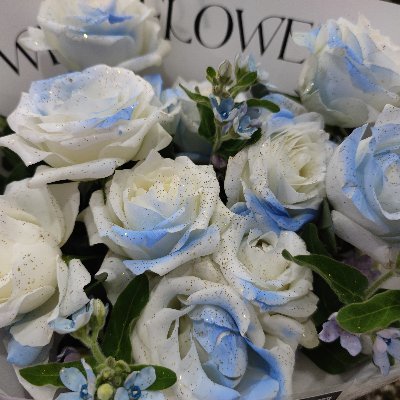 uuid46483955's profile picture. nonsense gather here