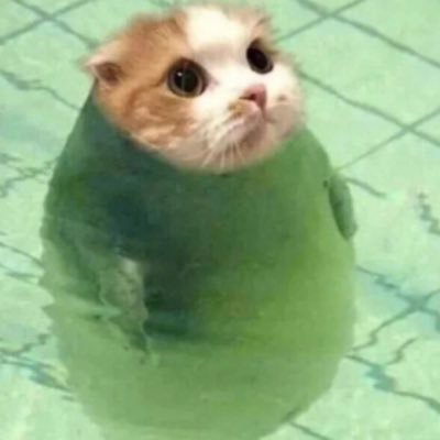 Chichieさんのプロフィール画像