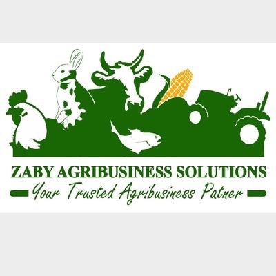 -Agribusiness🌽🌻
- Project planning &management📝
-Agri-consultant📈
-Veterinary services💉
+255742696253