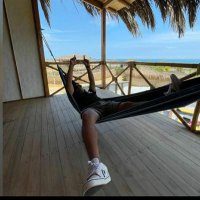 Peter David (@peterd_m) 's Twitter Profile