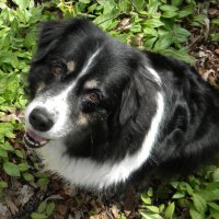 Sharon Theimer (@sharontheimer) 's Twitter Profile Photo Sharon Theimer (@sharontheimer) 's Twitter Profile Photo