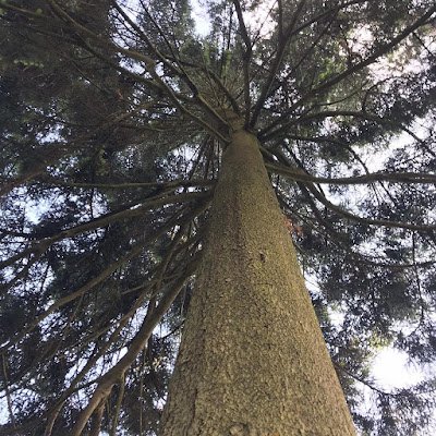 ActiveCam92's profile picture. 