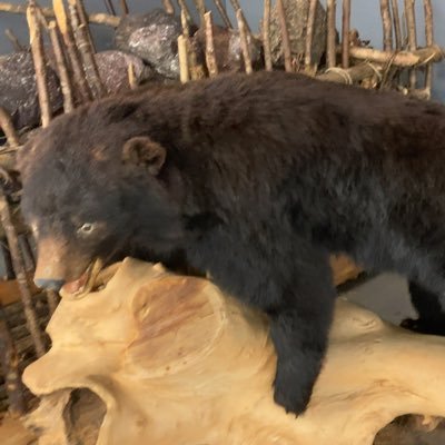 NrU4nqu4ZXrG7hV's profile picture. 