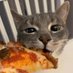 everything cute (@kylin_wei) Twitter profile photo everything cute (@kylin_wei) Twitter profile photo