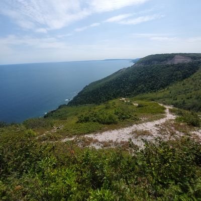 postmanaa's profile picture. 