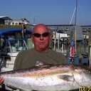 Bob Roman - @BobRoman463731 - Twitter