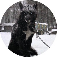 Bremanz (@bremanz_) 's Twitter Profile