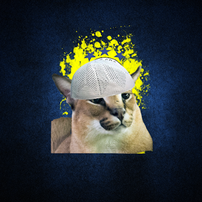 HaticeOkay90745's profile picture.