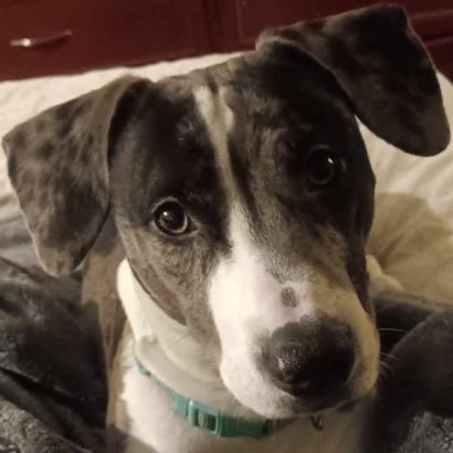 ColemanTrissa's profile picture. 