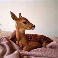 Amal (@ammmool8521) 's Twitter Profile