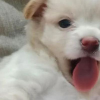 blxelstmt's profile picture. กินข้าวยังจ๊า