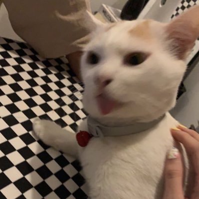 PWow2545's profile picture. 